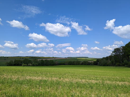 Paradiesgartenweg, Hornbach
13. Mai 2023